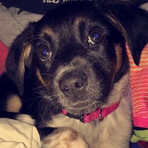 Meet your Posher, Korie